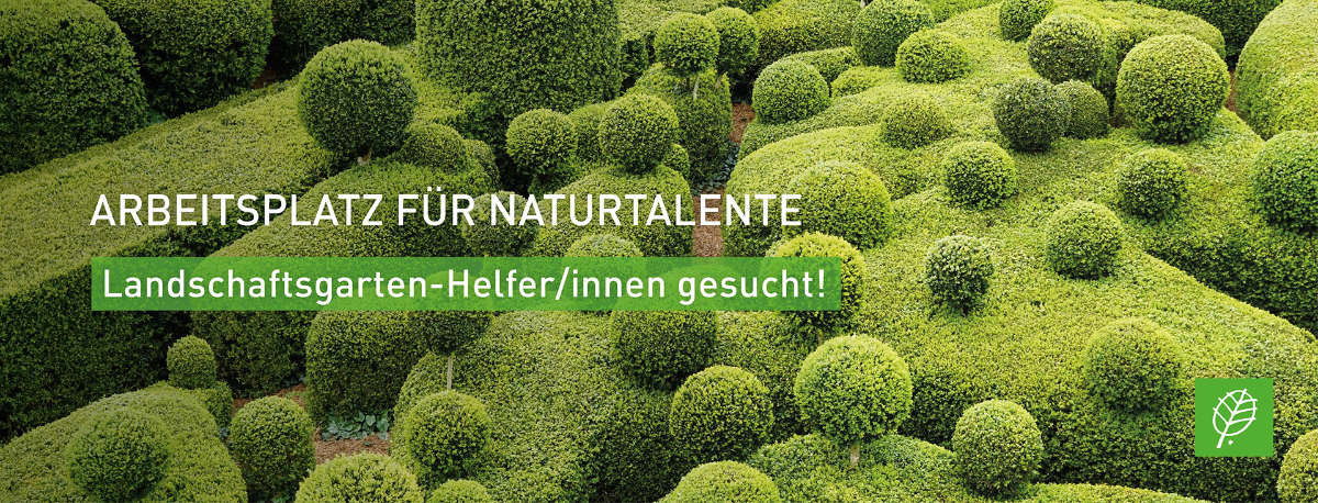 Job Baumpfleger